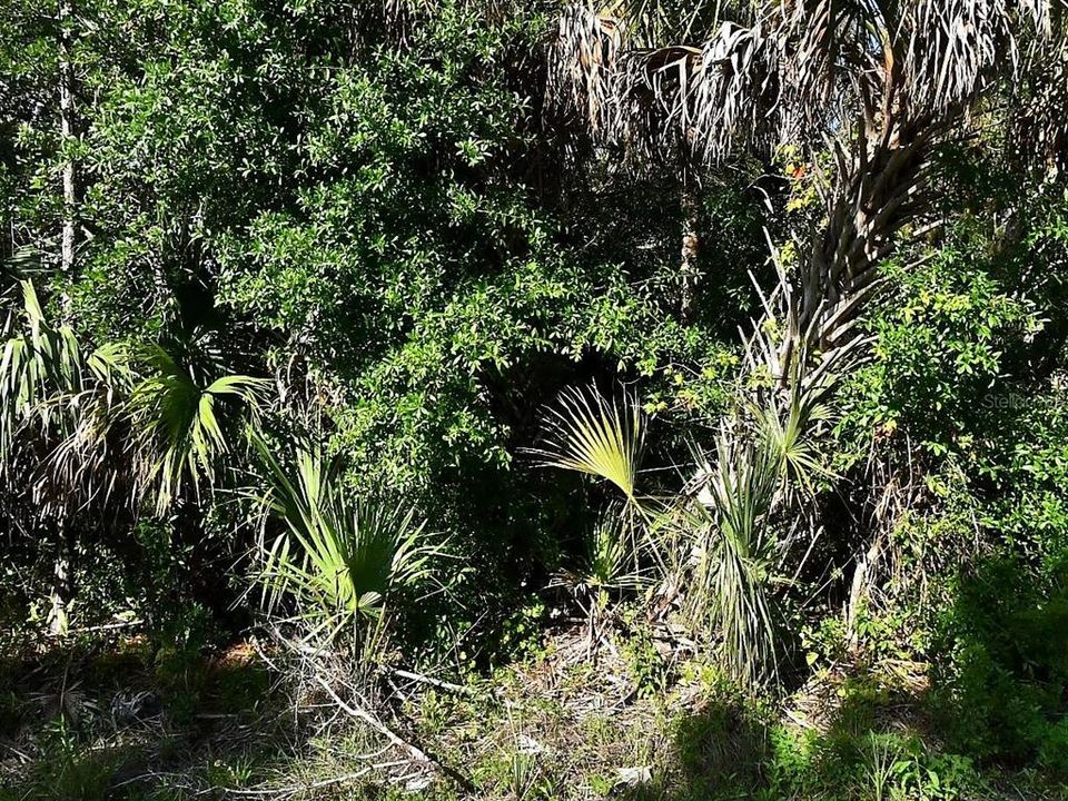 En Venta: $29,000 (0.29 acres)