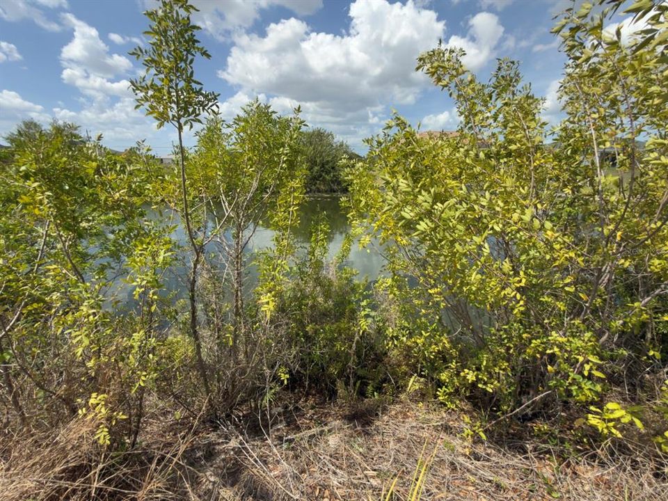 待售: $50,000 (0.23 acres)