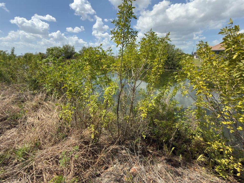 待售: $50,000 (0.23 acres)