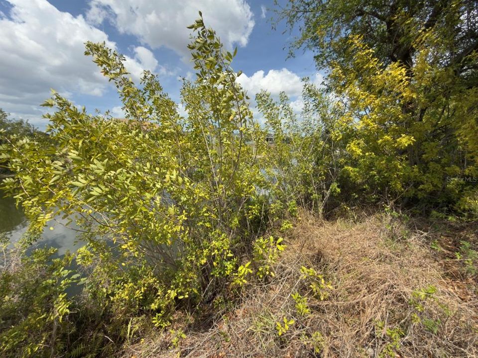 待售: $50,000 (0.23 acres)