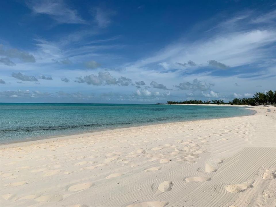 For Sale: $245,000 (0.22 acres)
