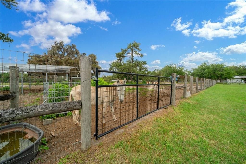 На продажу: $849,000 (4 спален, 2 ванн, 3136 Квадратных фут)