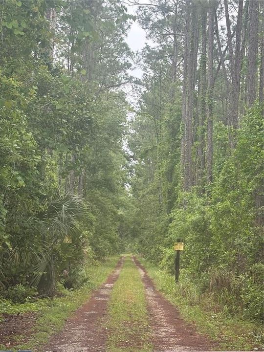 待售: $280,000 (2.50 acres)