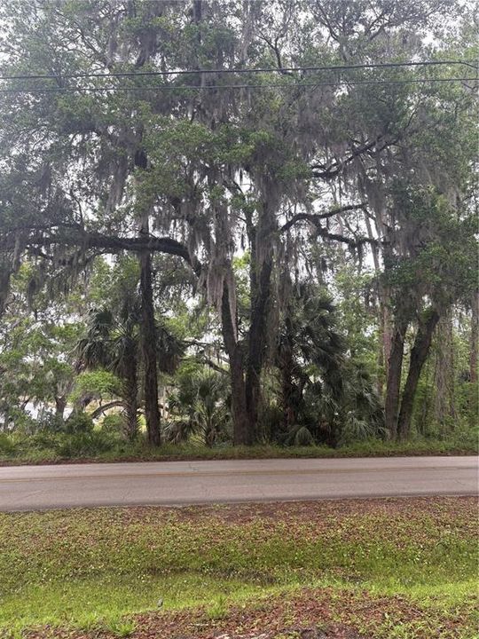 En Venta: $350,000 (3.65 acres)