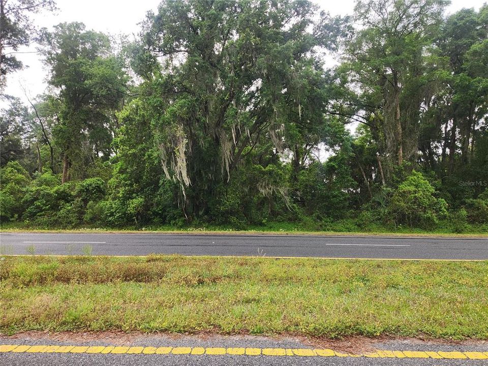 待售: $52,000 (0.45 acres)