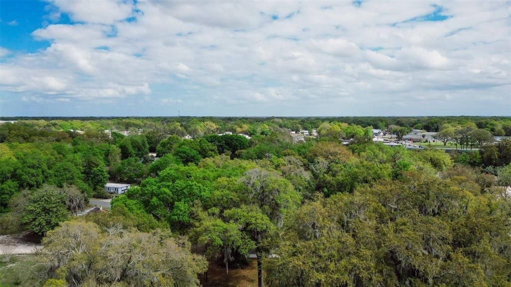 For Sale: $39,999 (0.30 acres)
