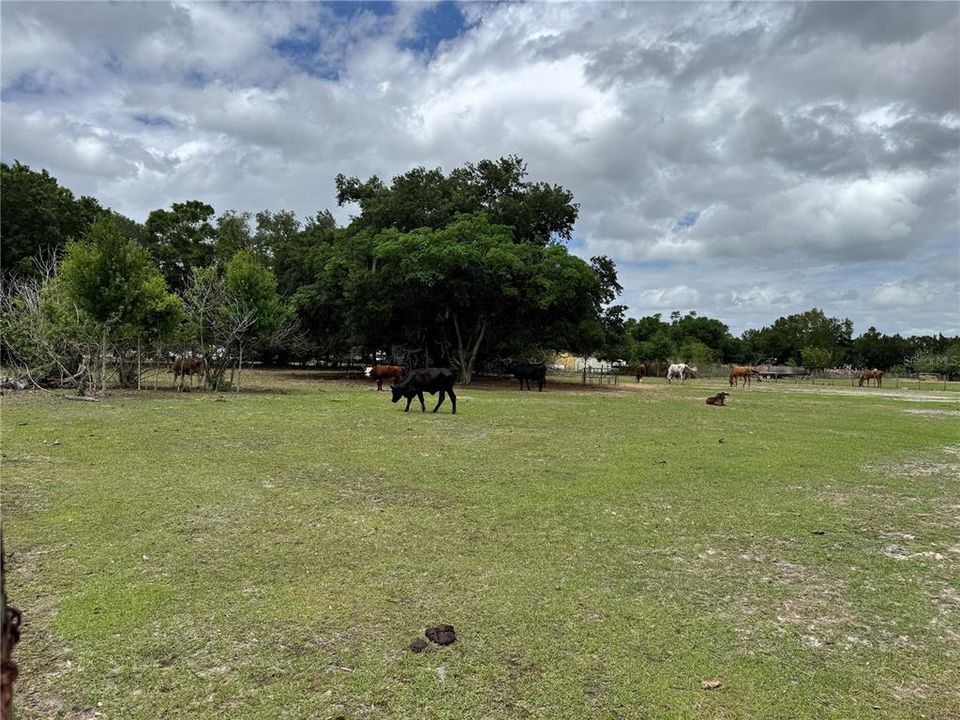 For Sale: $599,000 (2.00 acres)