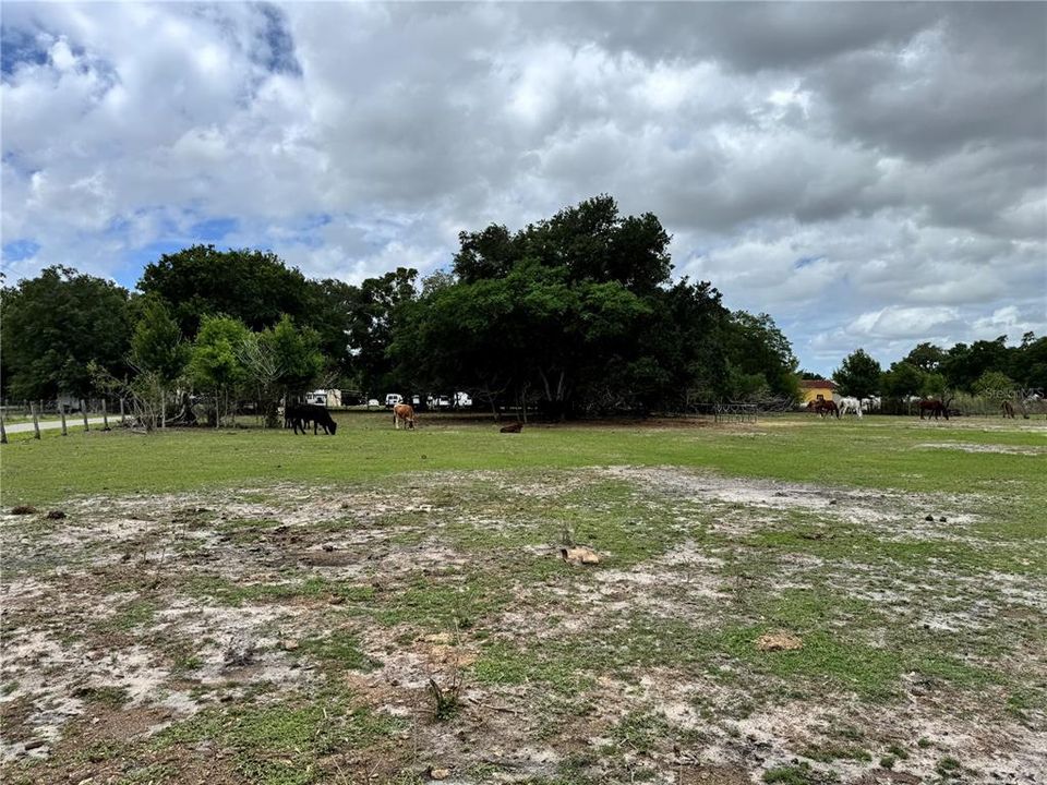 For Sale: $599,000 (2.00 acres)