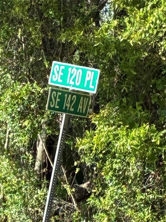На продажу: $40,000 (1.23 acres)