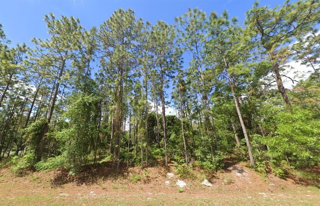 На продажу: $135,000 (0.96 acres)