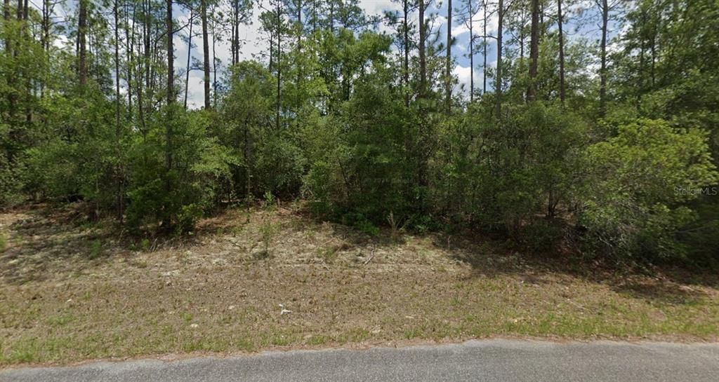 For Sale: $25,000 (0.33 acres)