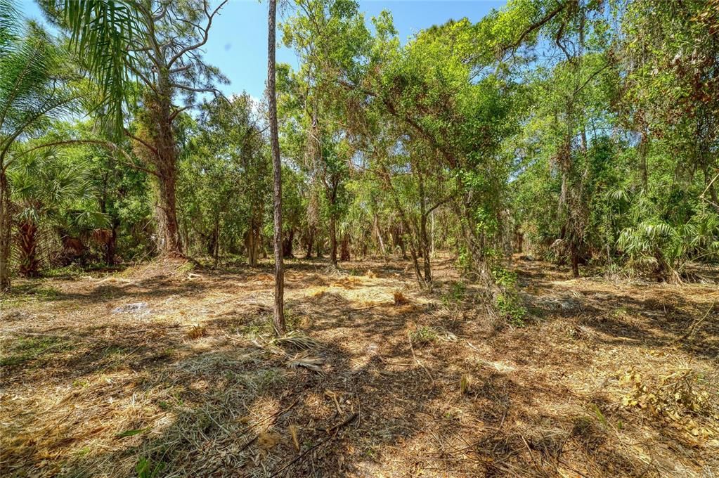 For Sale: $1,100,000 (3.86 acres)