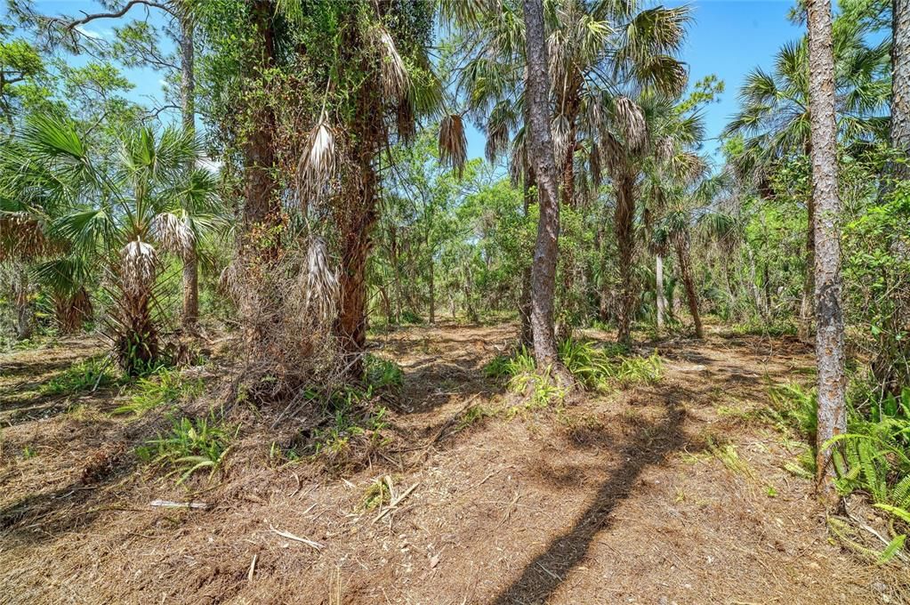 For Sale: $1,100,000 (3.86 acres)