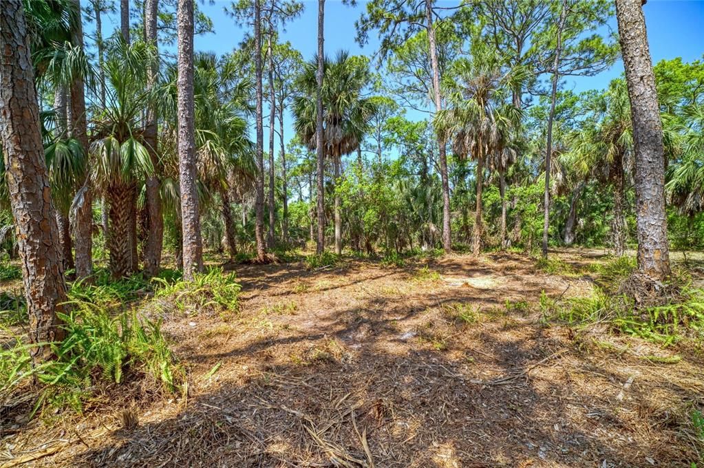 For Sale: $1,100,000 (3.86 acres)