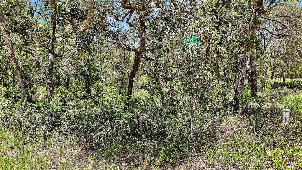 待售: $22,000 (0.97 acres)