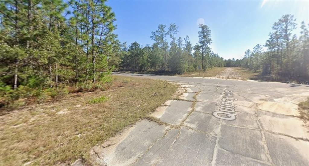 For Sale: $15,900 (0.30 acres)