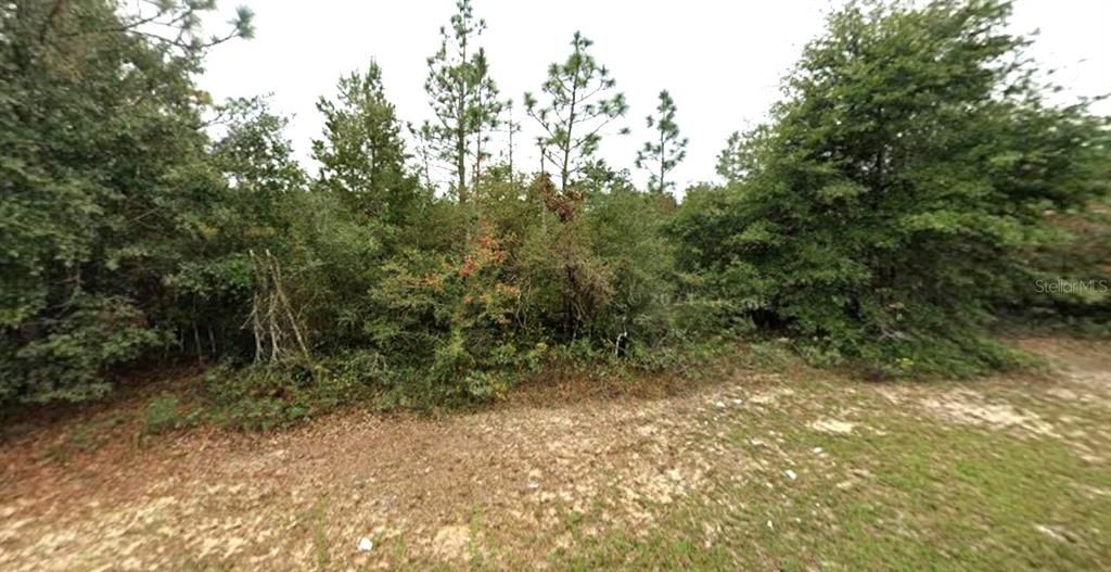En Venta: $15,900 (0.34 acres)