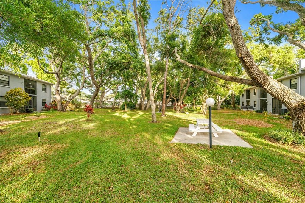 Activo con contrato: $220,000 (2 camas, 2 baños, 1040 Pies cuadrados)