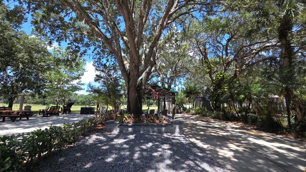 На продажу: $175,000 (0.06 acres)