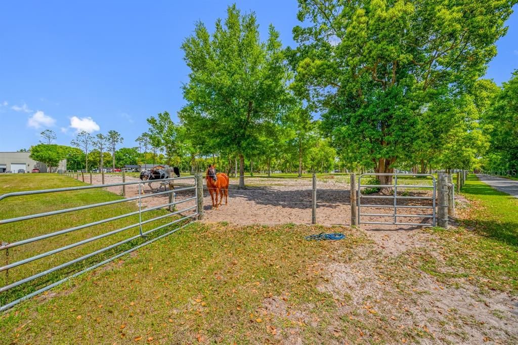 For Sale: $478,800 (2.52 acres)