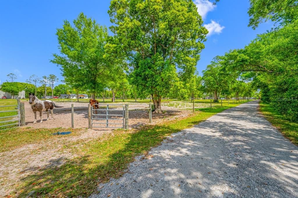 For Sale: $478,800 (2.52 acres)
