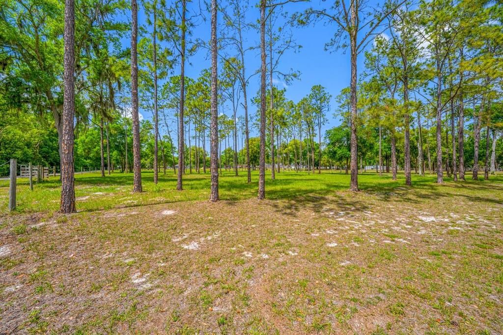 For Sale: $509,200 (2.68 acres)