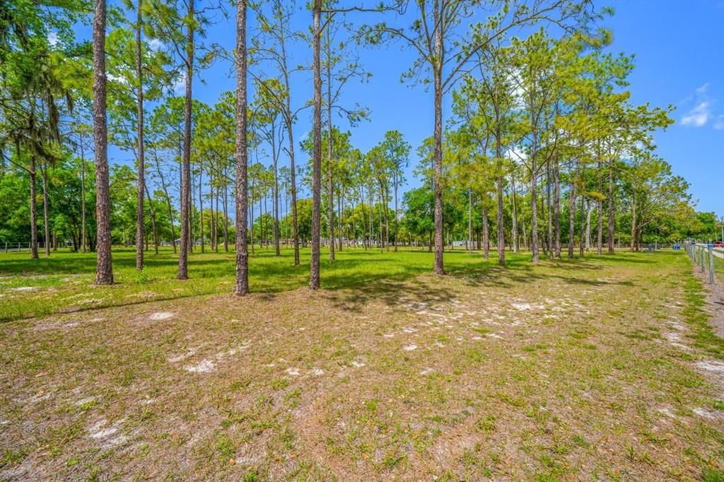 For Sale: $509,200 (2.68 acres)