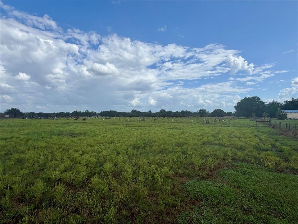待售: $520,000 (20.00 acres)