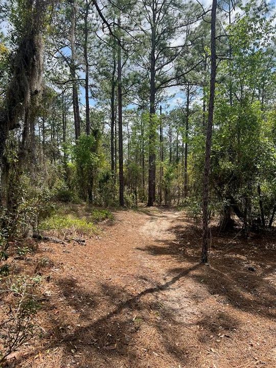 待售: $225,000 (11.29 acres)
