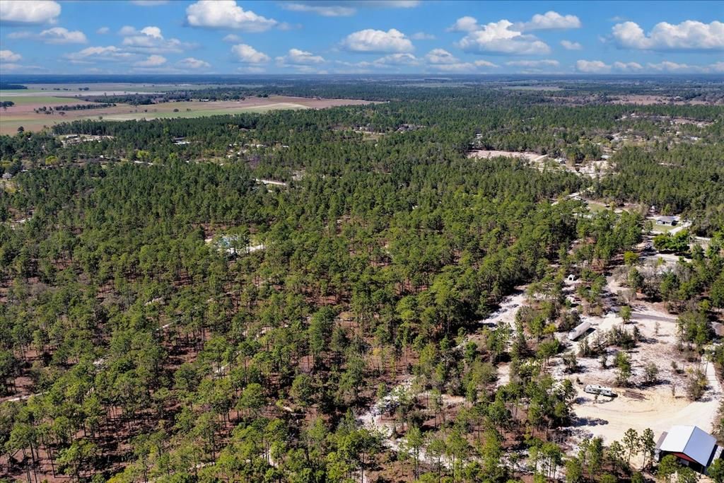 待售: $225,000 (11.29 acres)