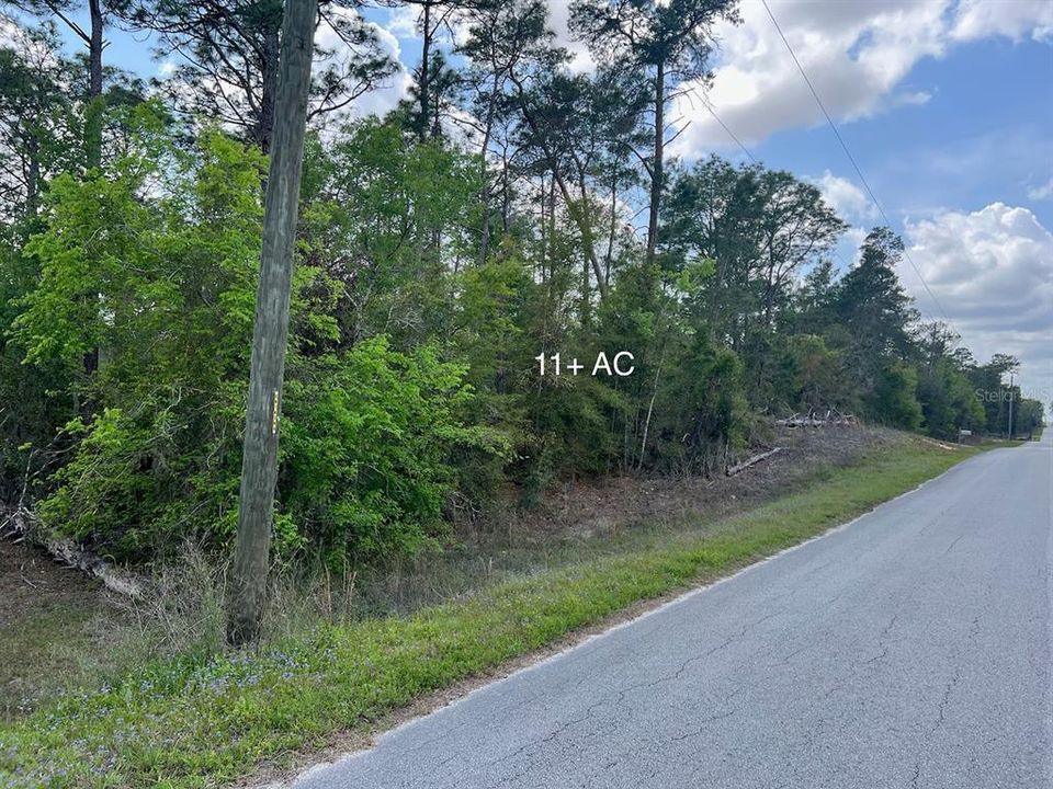 待售: $225,000 (11.29 acres)