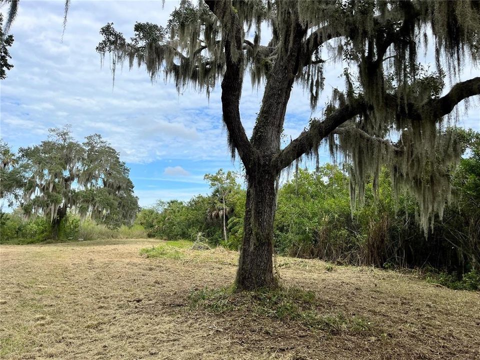 На продажу: $649,000 (11.00 acres)