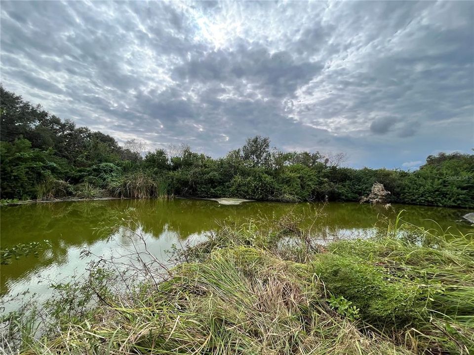 На продажу: $649,000 (11.00 acres)