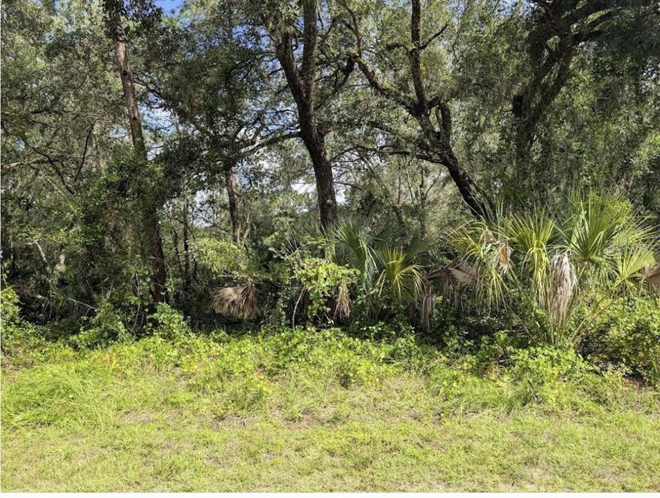 待售: $40,000 (1.00 acres)
