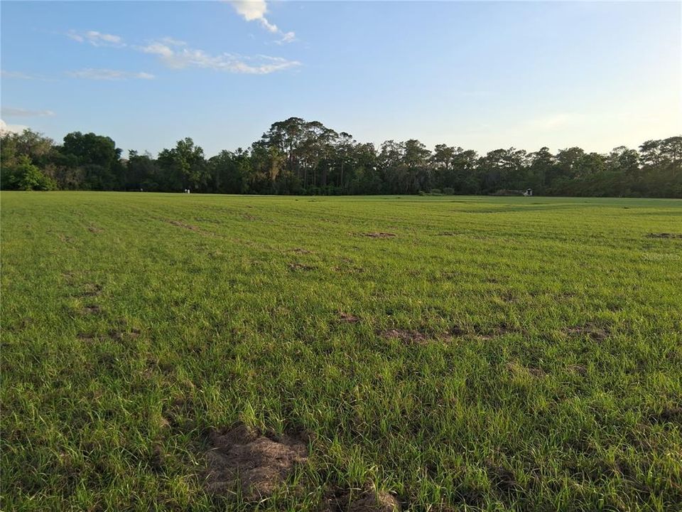 For Sale: $499,900 (10.18 acres)