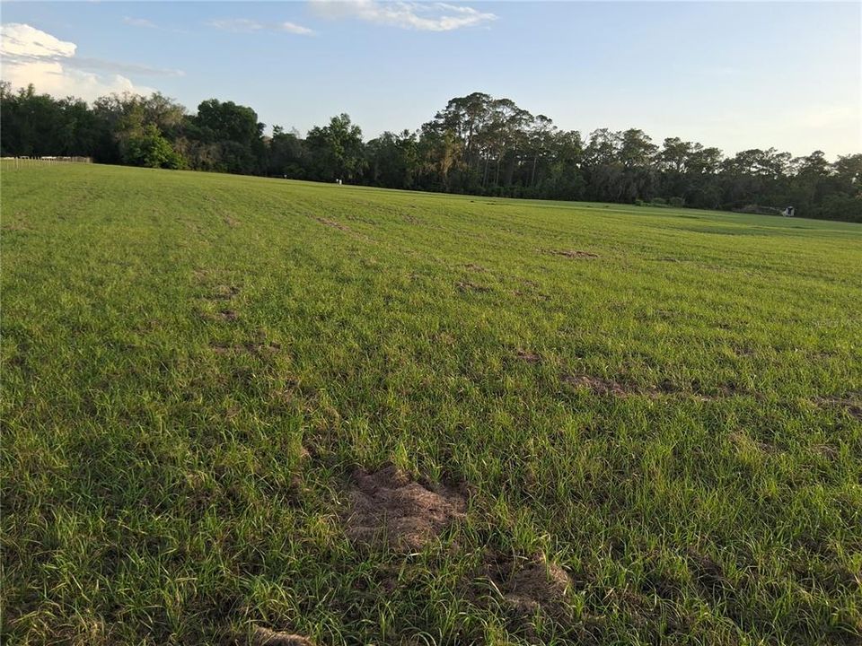 For Sale: $499,900 (10.18 acres)