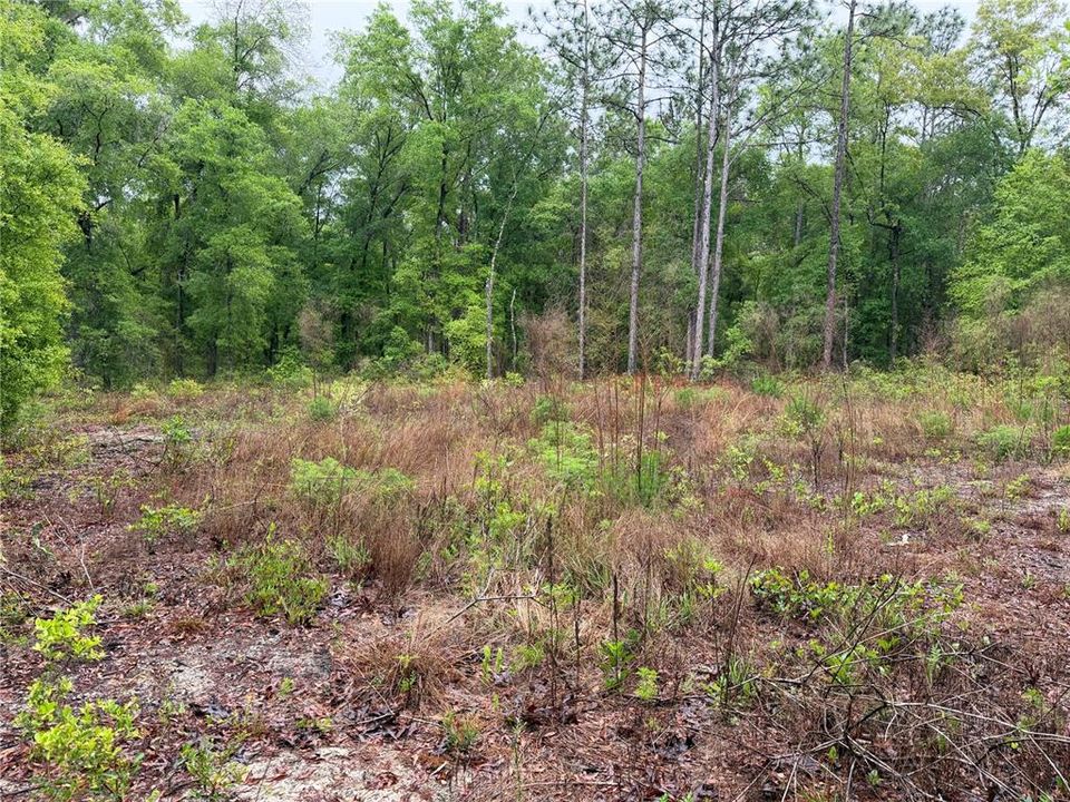 На продажу: $12,000 (0.26 acres)