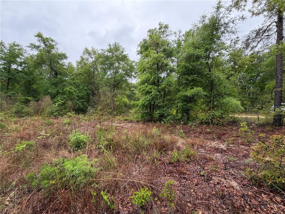 На продажу: $12,000 (0.26 acres)