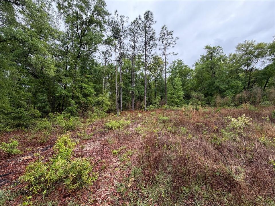 На продажу: $12,000 (0.26 acres)