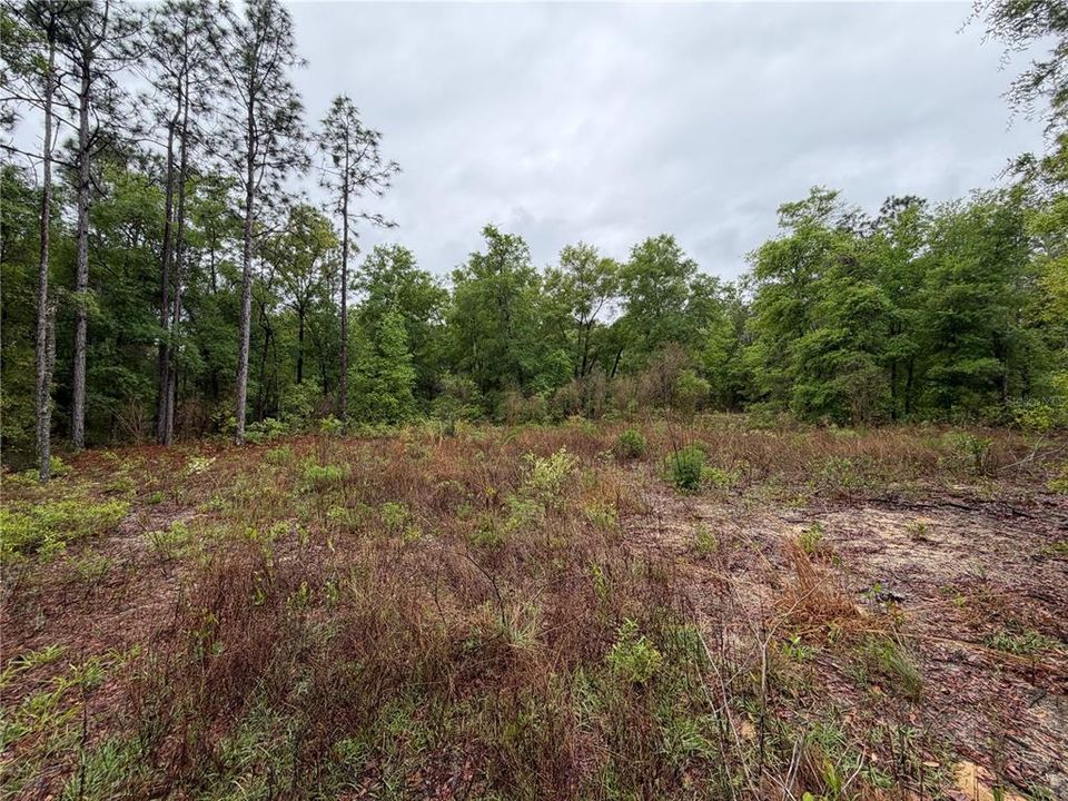 На продажу: $12,000 (0.26 acres)
