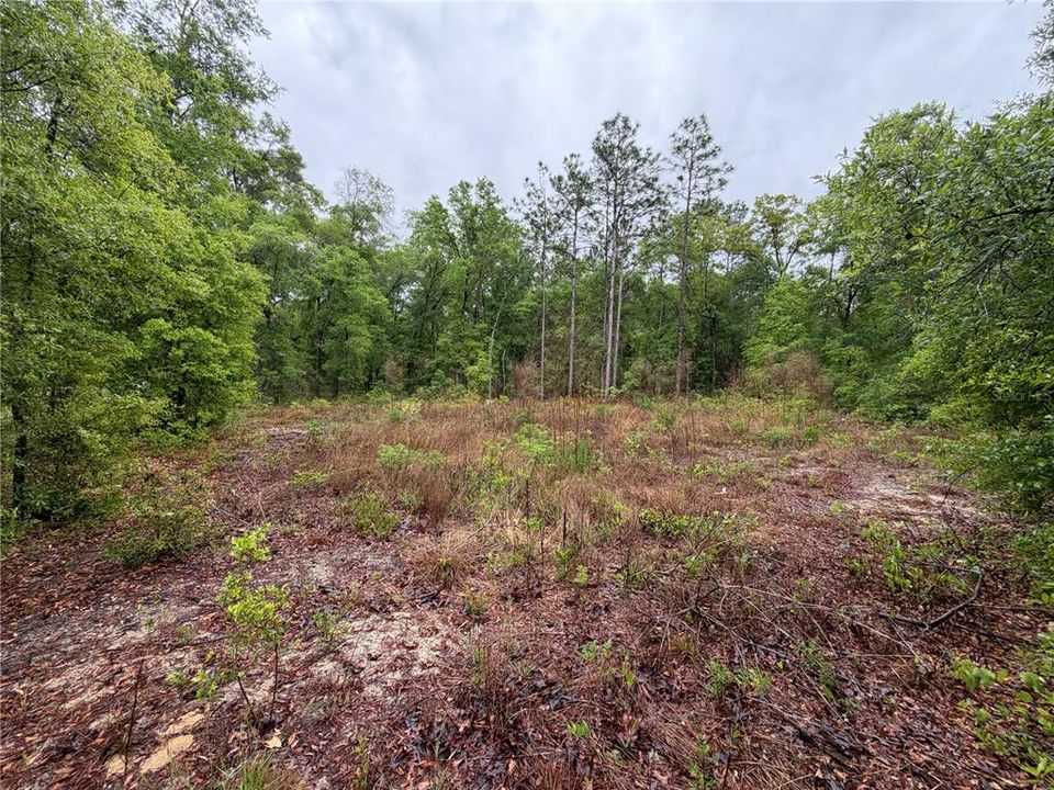 На продажу: $12,000 (0.26 acres)