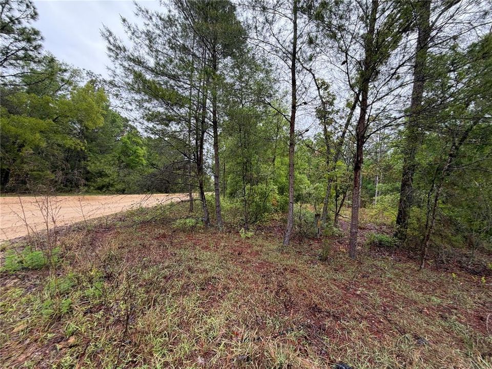 На продажу: $12,000 (0.26 acres)
