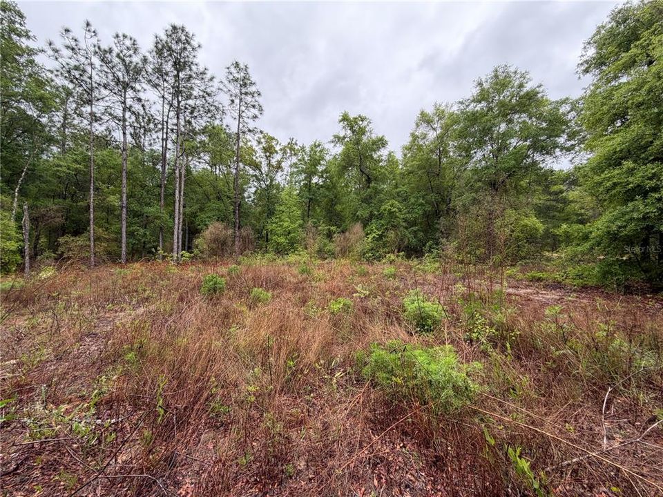 На продажу: $12,000 (0.26 acres)