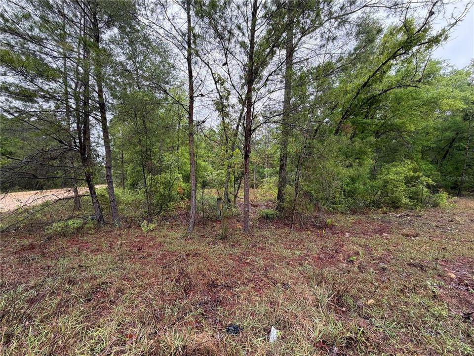 На продажу: $12,000 (0.26 acres)