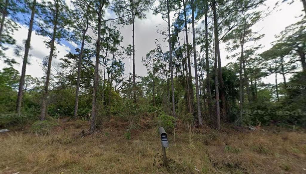 En Venta: $16,900 (0.29 acres)