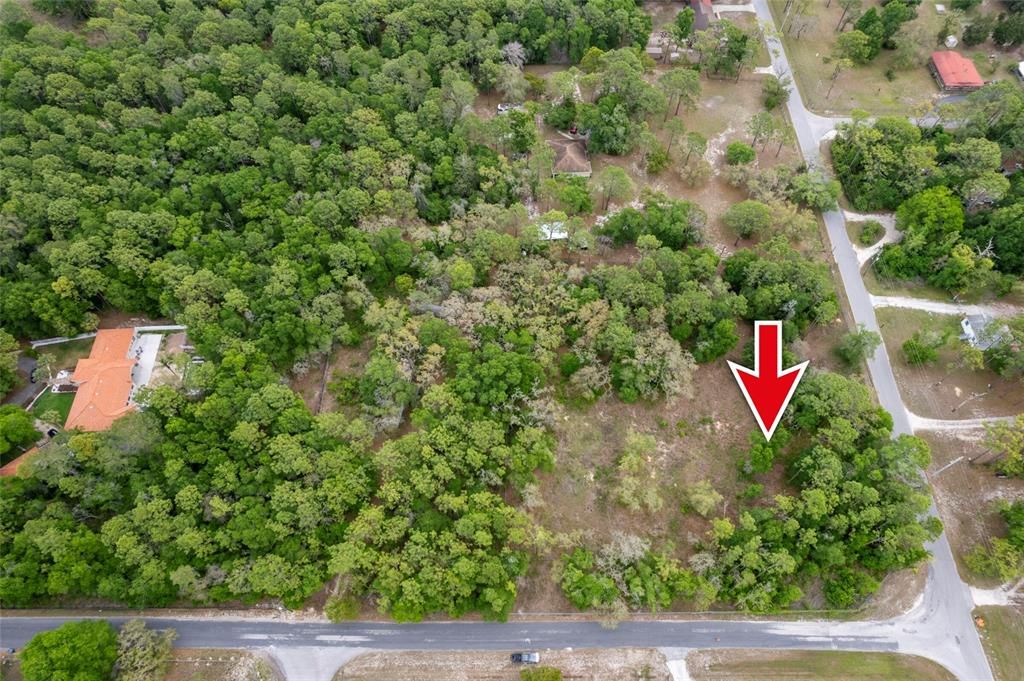 待售: $120,000 (1.31 acres)
