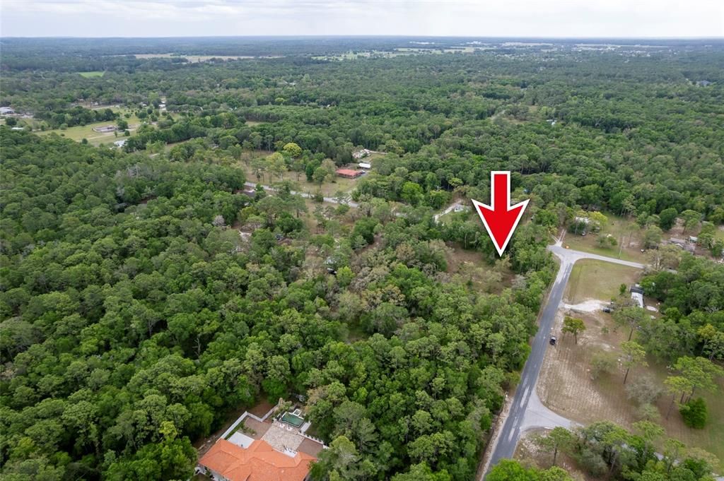 For Sale: $99,000 (1.31 acres)