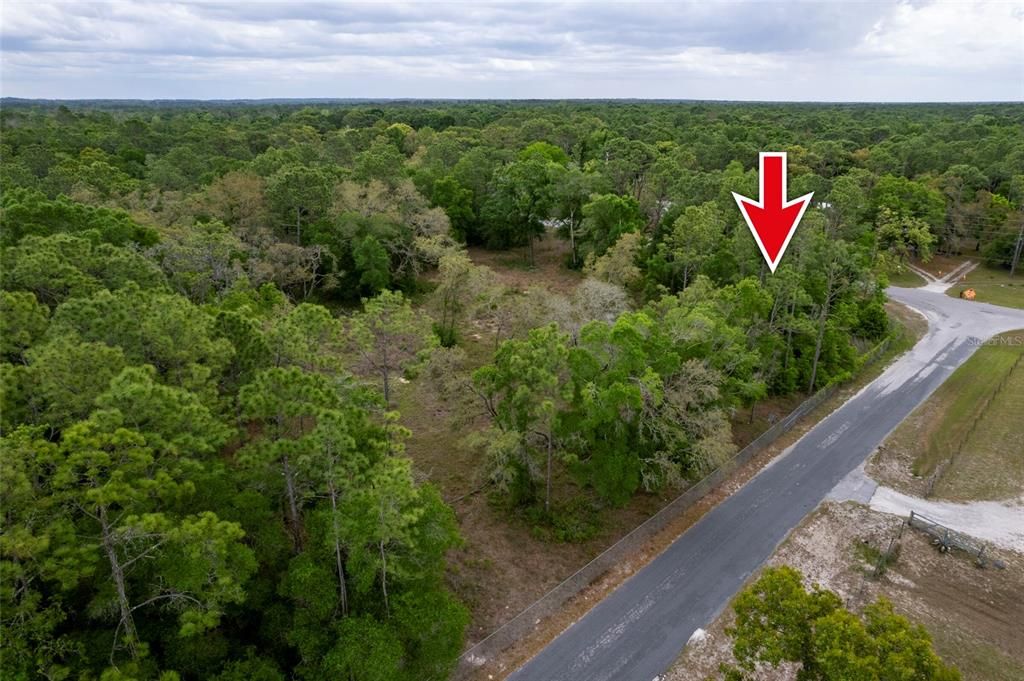 待售: $120,000 (1.31 acres)