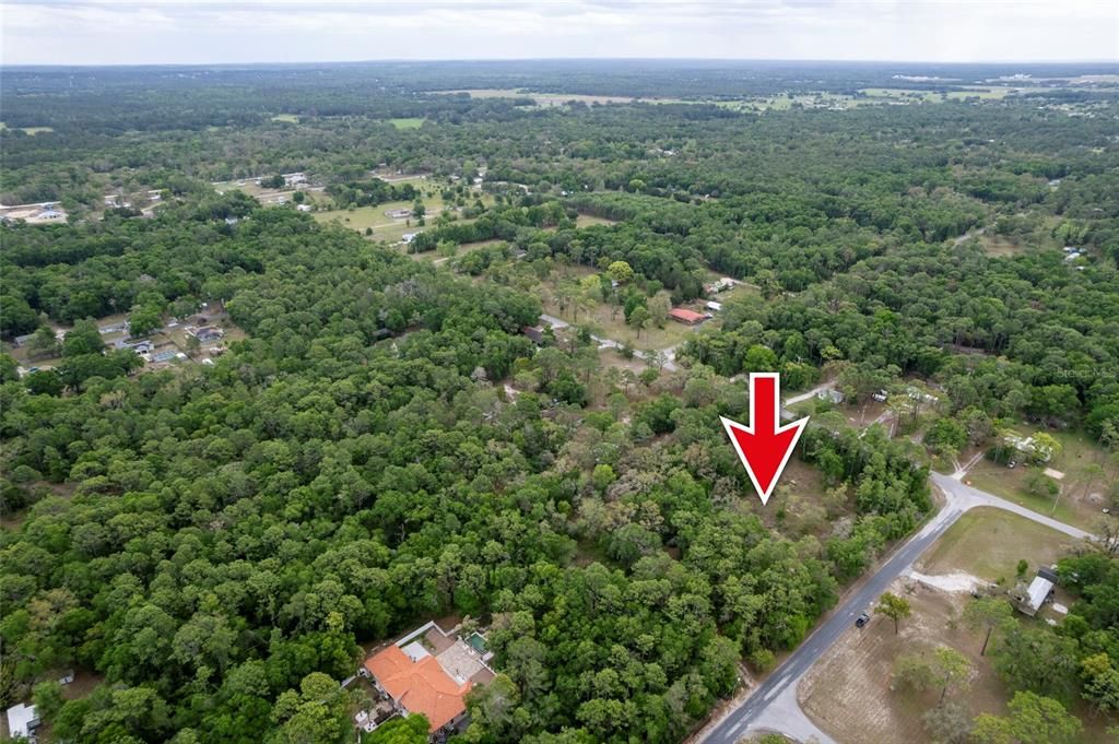 待售: $95,000 (1.20 acres)
