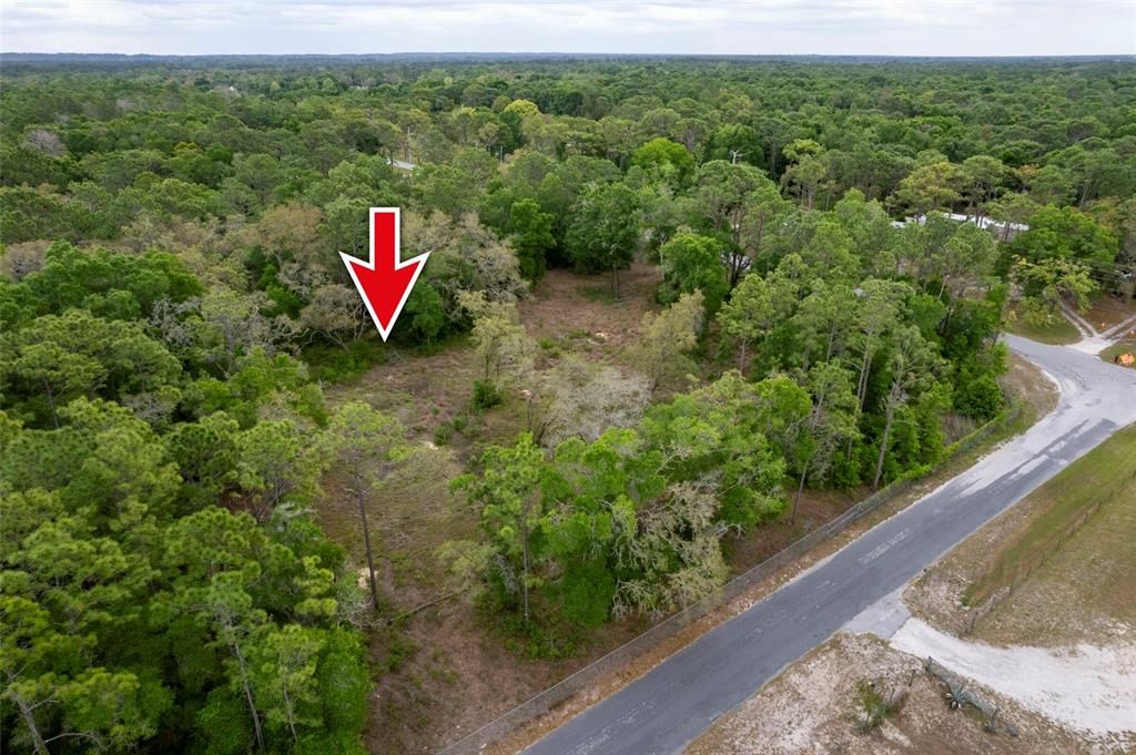 待售: $95,000 (1.20 acres)